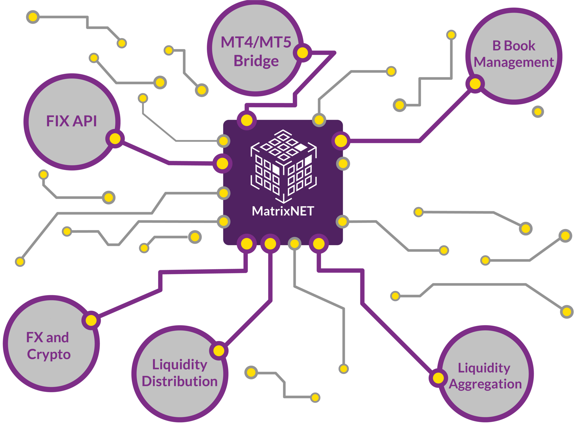 MatrixNET diagram